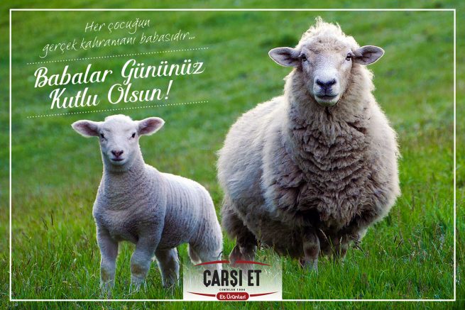 Eskişehir Reklam Ajansı Weberd