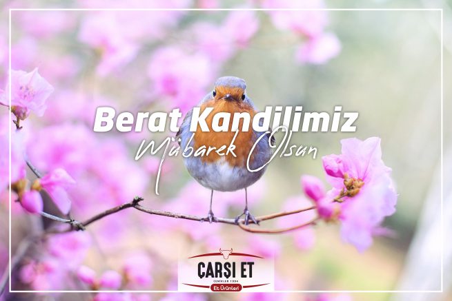 Eskişehir Reklam Ajansı Weberd