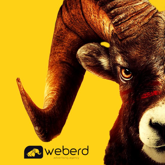 Reklam Ajansı | Web Tasarım | Sosyal Medya Danışmanlığı