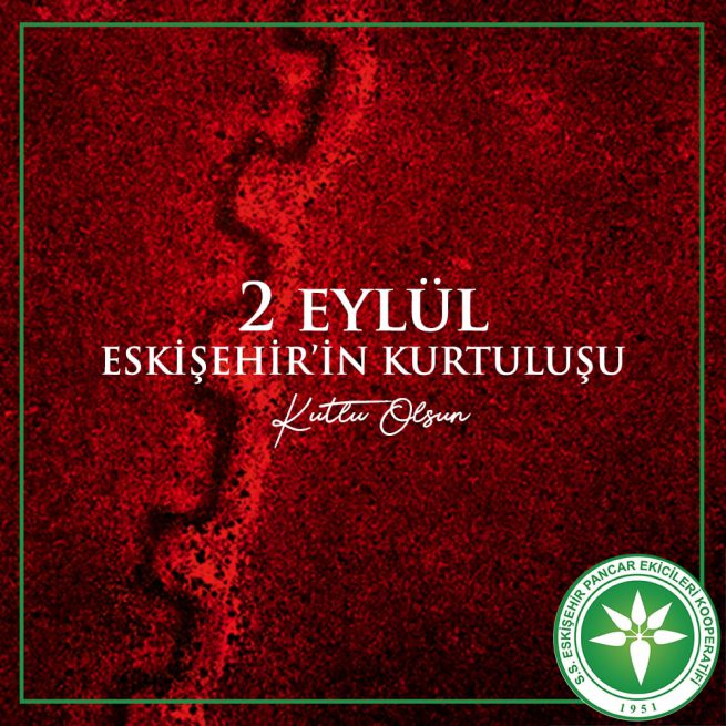 Reklam Ajansı | Web Tasarım | Sosyal Medya Danışmanlığı